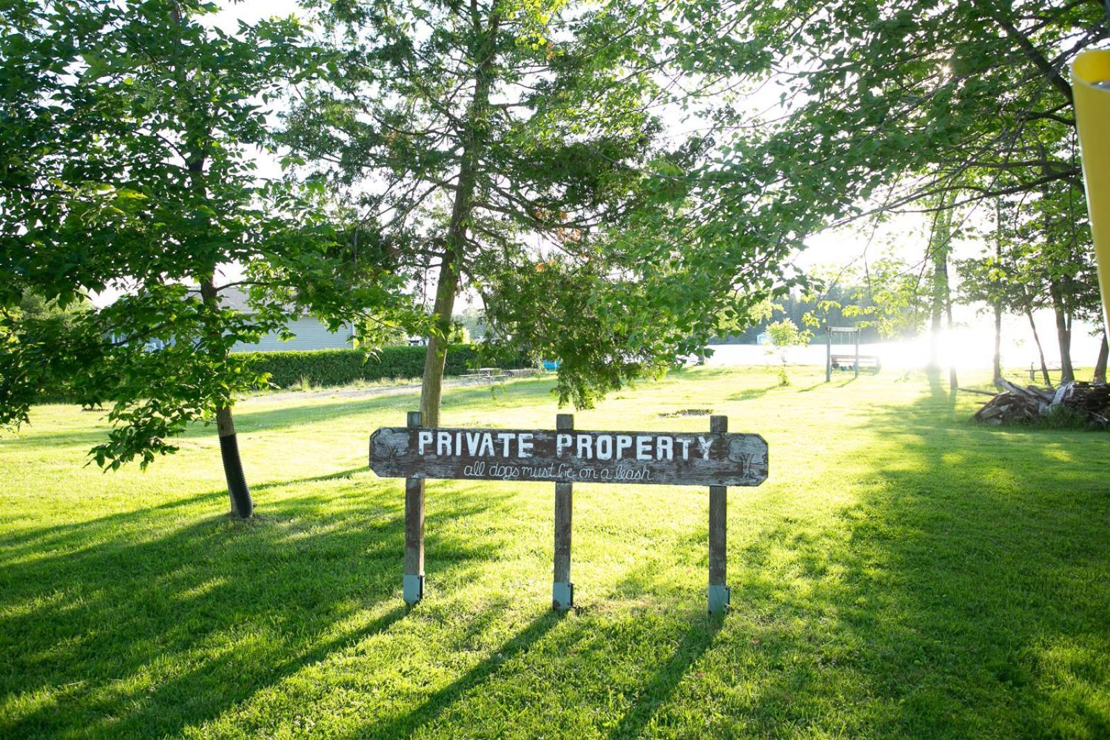 Fun Place With A Sandy Beach For Swimming, Boating, And Fishing, Featuring 3 Available Cabins Fenelon Falls Esterno foto